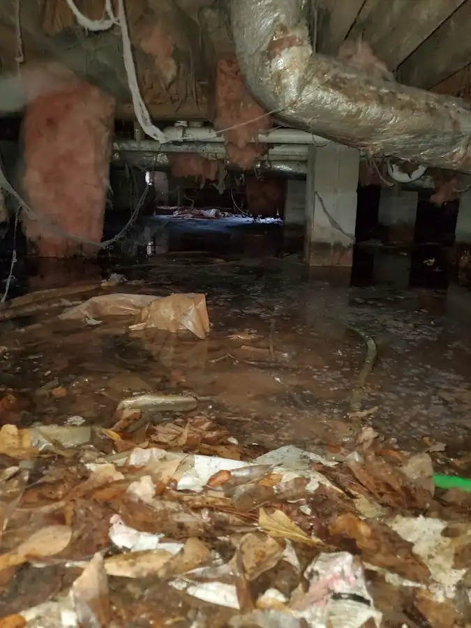 Crawl space flood assessment for Leak Detection & Repair in Duanesburg