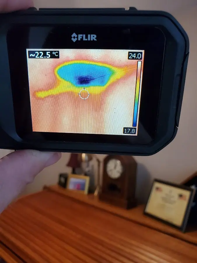 Thermal imaging inspection for water damage in Duanesburg