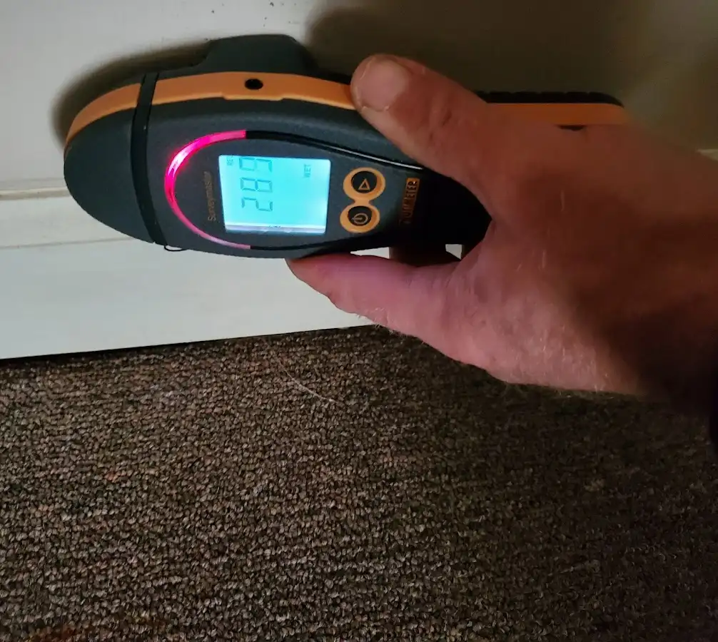 Moisture detection at baseboard during Mold Inspection & Testing in Duanesburg